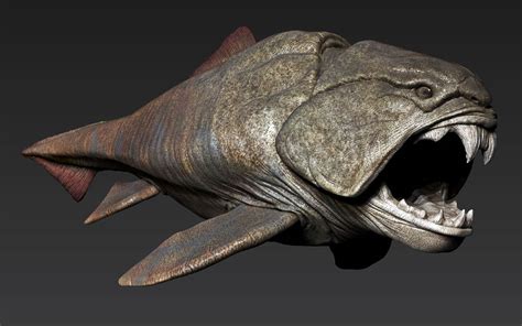 dunkleosteus found alive.